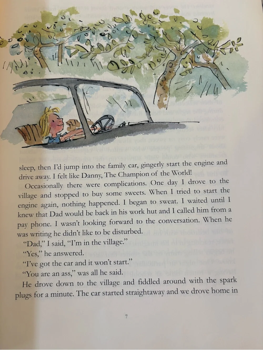 The Roald Dahl Treasury- Hardcover 🎁